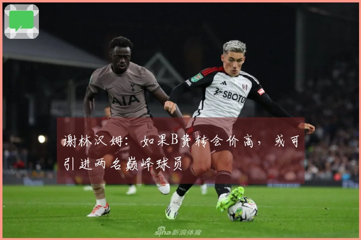 谢林汉姆：如果B费转会价高，或可引进两名巅峰球员